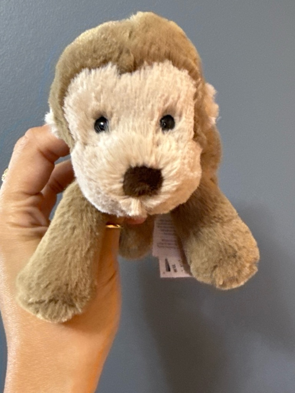 Authentic Jellycat Monkey